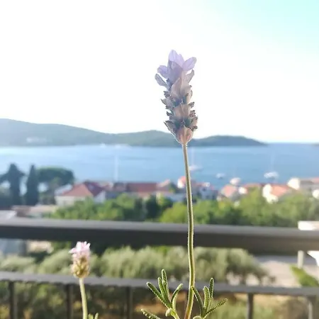 Sandra Apartment *